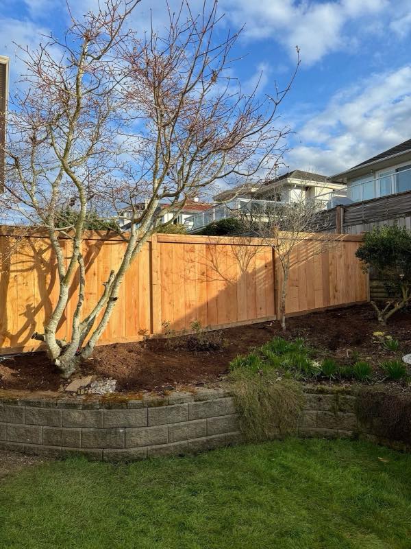 Cedar fence project by Tonella Contracting on Vancouver Island
