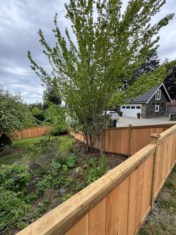 Cedar fence project by Tonella Contracting on Vancouver Island